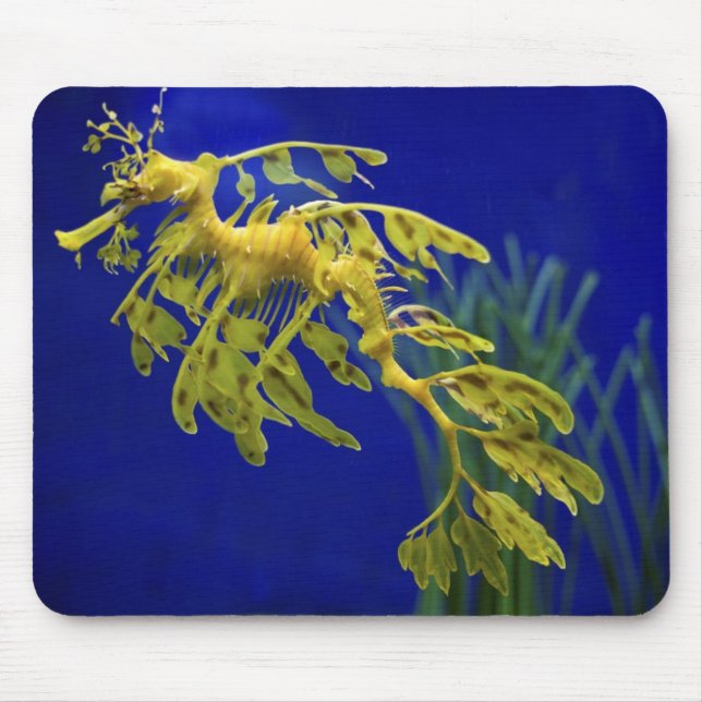 Seepferd Mousepad (Vorne)