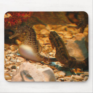 Seepferd mousepad