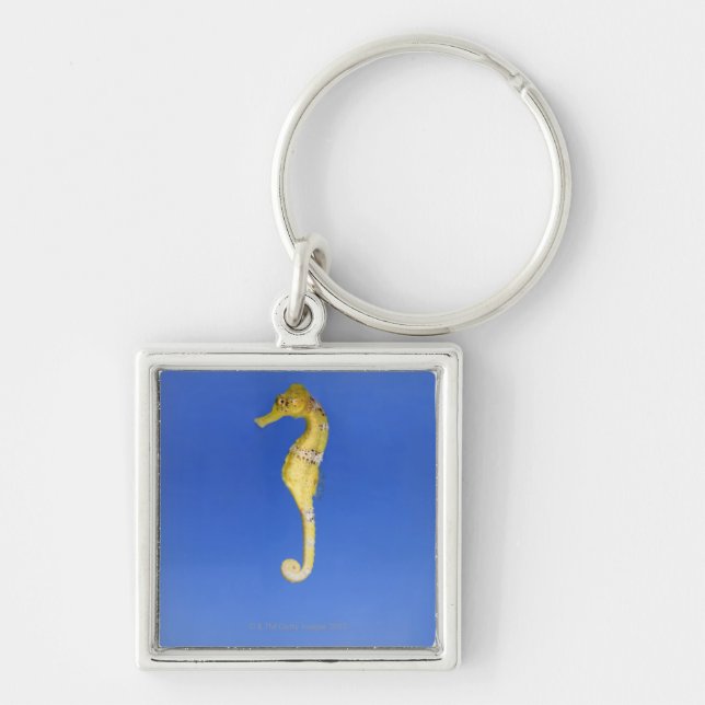 Seepferd Schlüsselanhänger (Vorne)