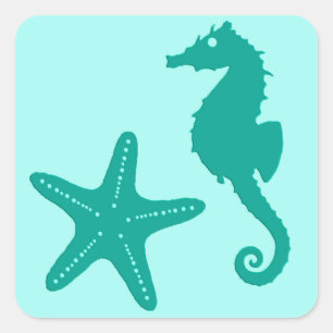 Seepferd & Starfish, Türkis und Aqua Quadratischer Aufkleber