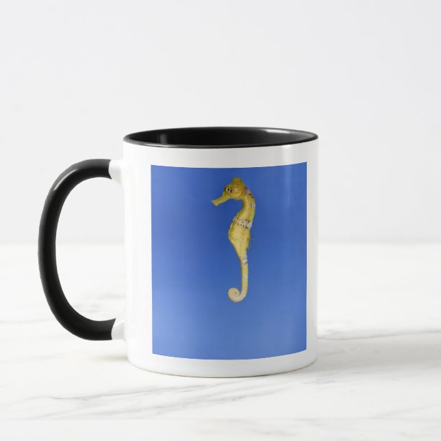 Seepferd Tasse (Links)