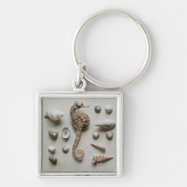 Seepferd und Muscheln Schlüsselanhänger (Vorne)