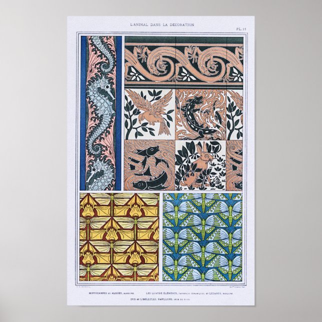 Seepferdchen, Eidechsen, Libellen, Schmetterlinge Poster (Vorne)