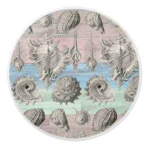 Seepferdchen Holz Nautilus Meer Strand Muscheln Bl Keramikknauf