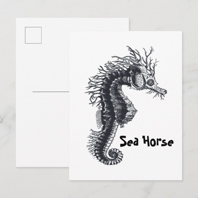 SEEPFERDCHEN POSTKARTE (Vorne/Hinten)