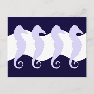 Seepferde 3 postkarte