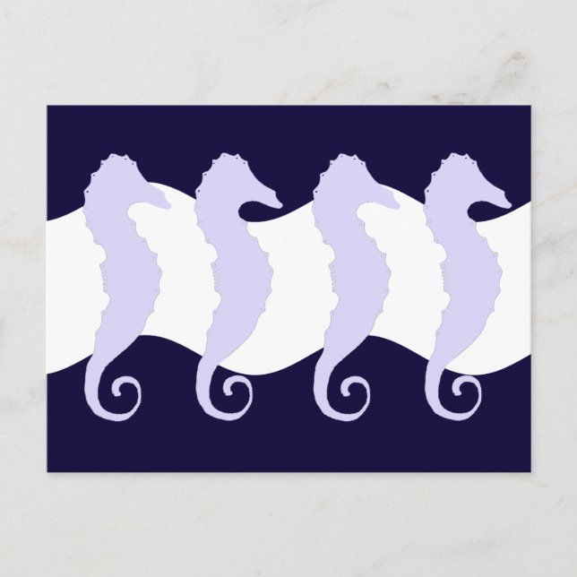 Seepferde 3 postkarte (Vorderseite)