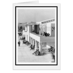 Seepferde am Sarasota