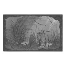 Seepferde aus antiken Aquarien