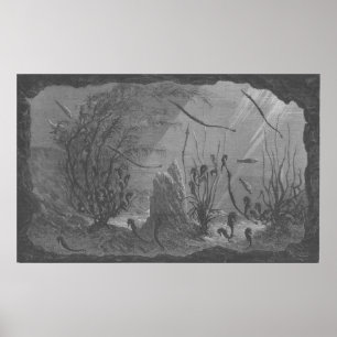 Seepferde aus antiken Aquarien Poster