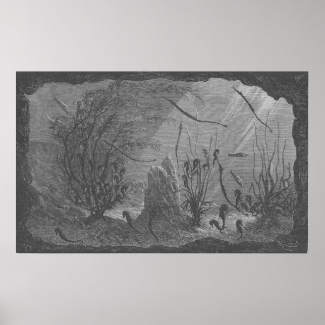 Seepferde aus antiken Aquarien Poster (Vorne)