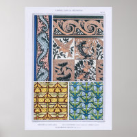 Seepferde, Eidechsen, Libellen, Schmetterlinge