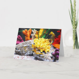 Seepferde Feiertagskarte