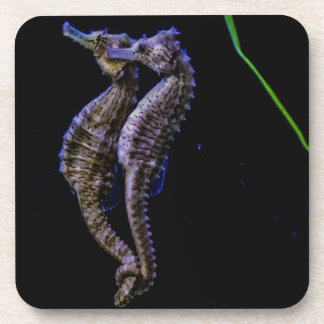 Seepferde (Seepferde) Getränkeuntersetzer