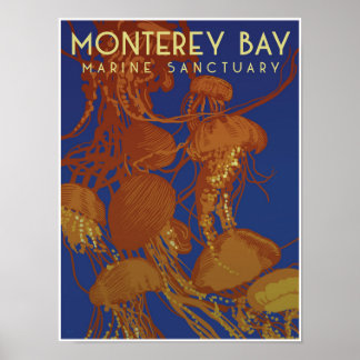 Seeraum Monterey Bay; Quallen Poster