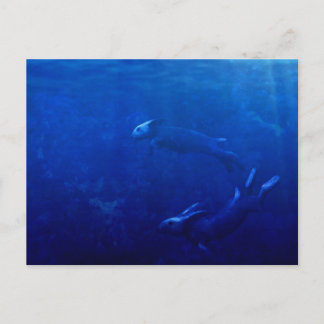 Seeräusche tanzen unter den Wellen Postkarte