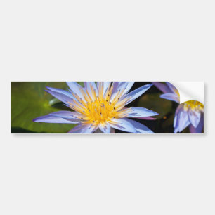 Seerose Autoaufkleber