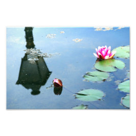 Seerose mit Reflexion der Laterne Fotodruck