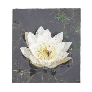 Seerose Notizblock