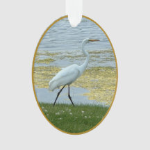 Seerosee Vogel