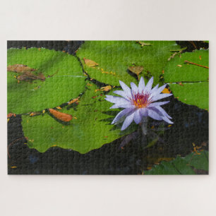 Seerosen-Foto-Puzzle Puzzle