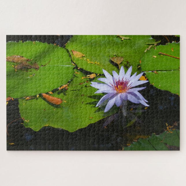 Seerosen-Foto-Puzzle Puzzle (Horizontal)