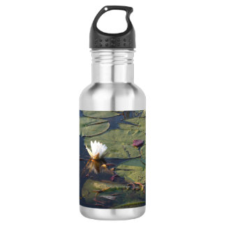 Seerosen in Blüte Edelstahlflasche