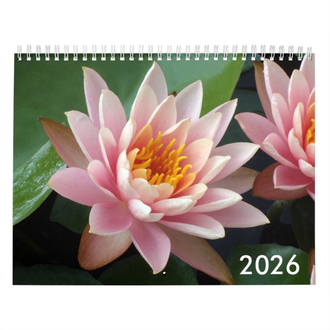 Seerosen-Kalender 2026 Kalender (Titelbild)