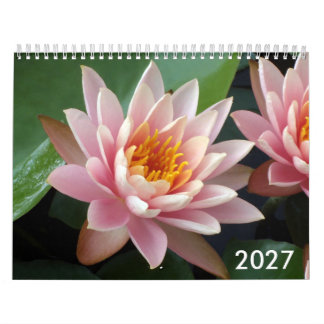 Seerosen-Kalender 2027 Kalender