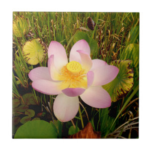 Seerosen-Kamik-Fliese Fliese