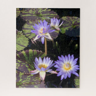 Seerosen Puzzle