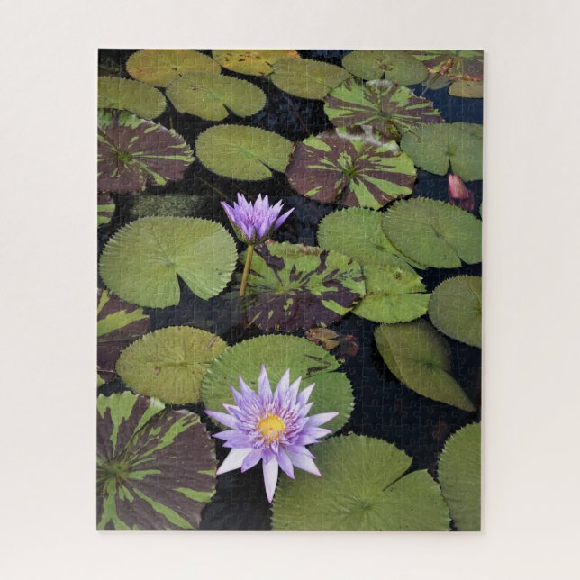 Seerosen Puzzle (Vertikal)