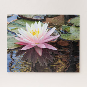 Seerosen Spiegelungen Puzzle