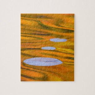 Seerosenblatt auf orangem Wasser, Kanada Puzzle