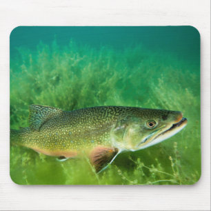 Seesaibling-Porträt, Emerald Lake, Montana Mousepad