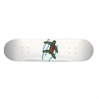 Seeschildkröte-Skate bord Skateboard