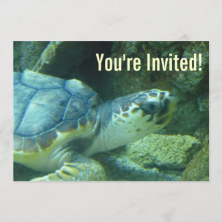 Seeschildkröte zum Geburtstag Einladung