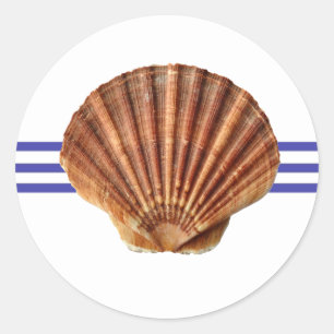 SeeSeashell - Kreis-Aufkleber Runder Aufkleber