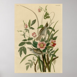 Seeseite Fink Poster