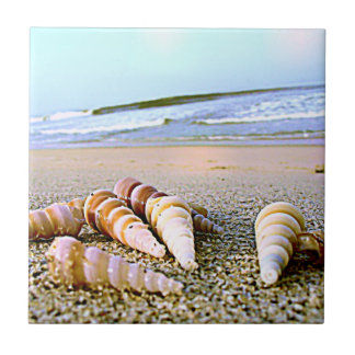 Seeseiten-Muschelfliese Fliese