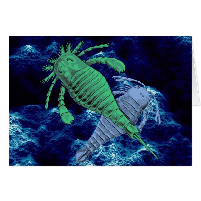 Seeskorpione (Vorderseite (Horizontal))