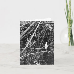 Seespeicher Feiertagskarte