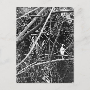 Seespeicher Postkarte