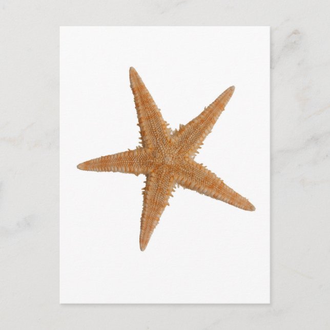 Seestar Postkarte (Vorderseite)