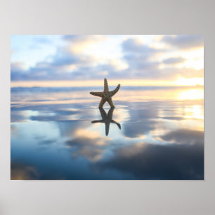 Seestern am Strand Foto Poster Druck