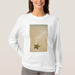 Seestern auf sandigem Strand, Gibbs Cay Land T-Shirt