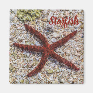 Seestern Ozean Vintage Strand Retro Souvenir Magnet
