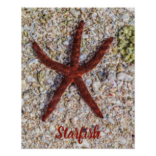 Seestern Ozean Vintage Strand Retro Souvenir Poster
