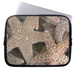 Seestern überall laptopschutzhülle