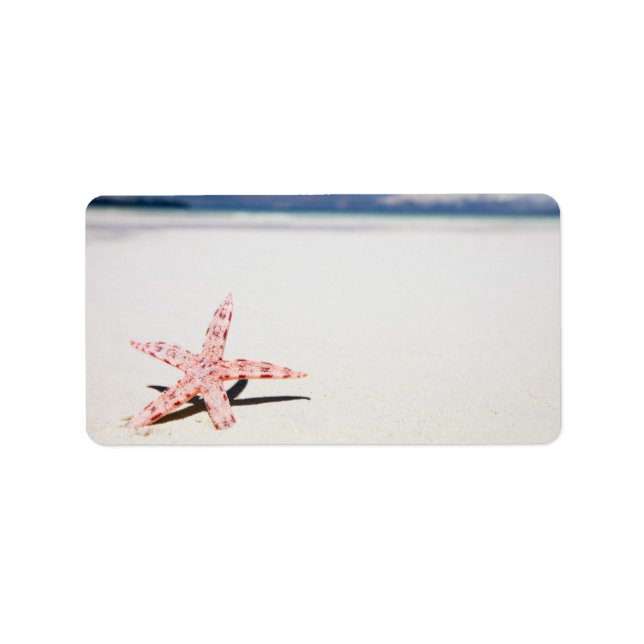 Seesterne am Strand Adressaufkleber (Vorne)